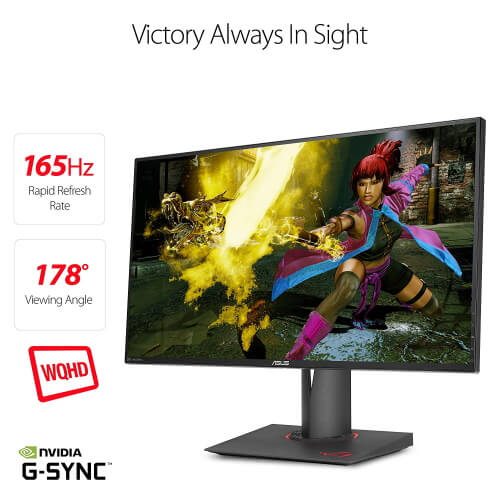 Best Gaming Monitor of 2020