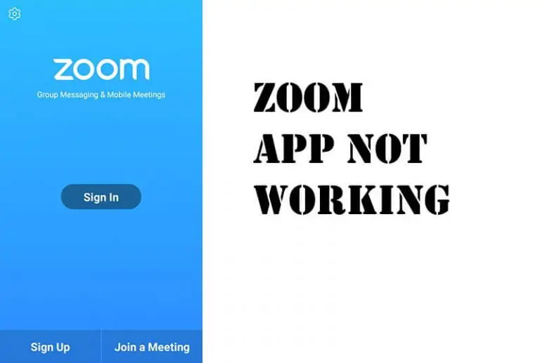 Zoom App Audio Not Working Android iOS