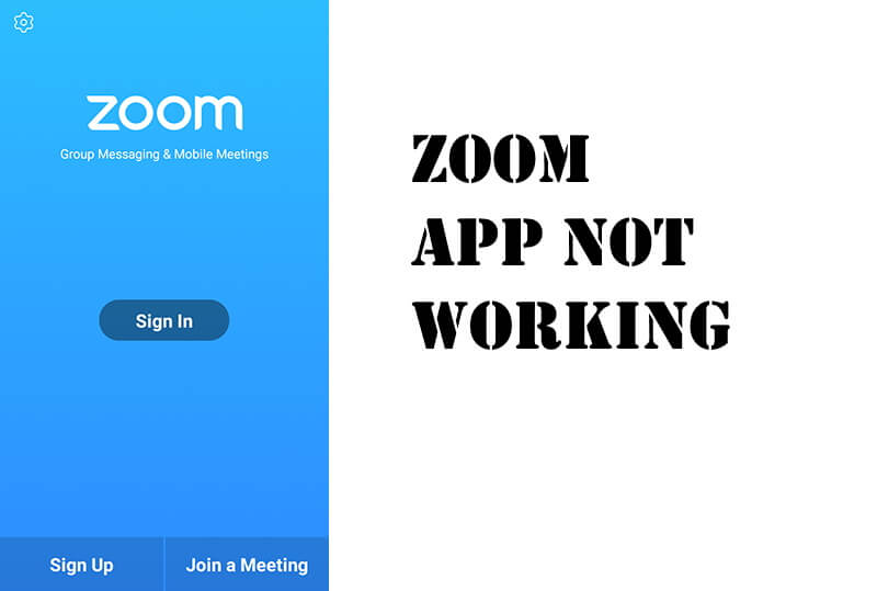 Zoom App Audio Not Working Android iOS