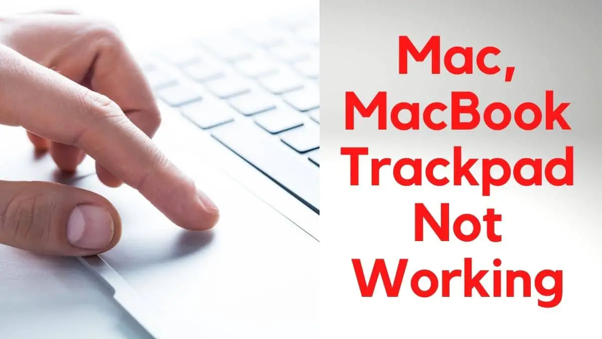 Mac, MacBook Trackpad Not Working