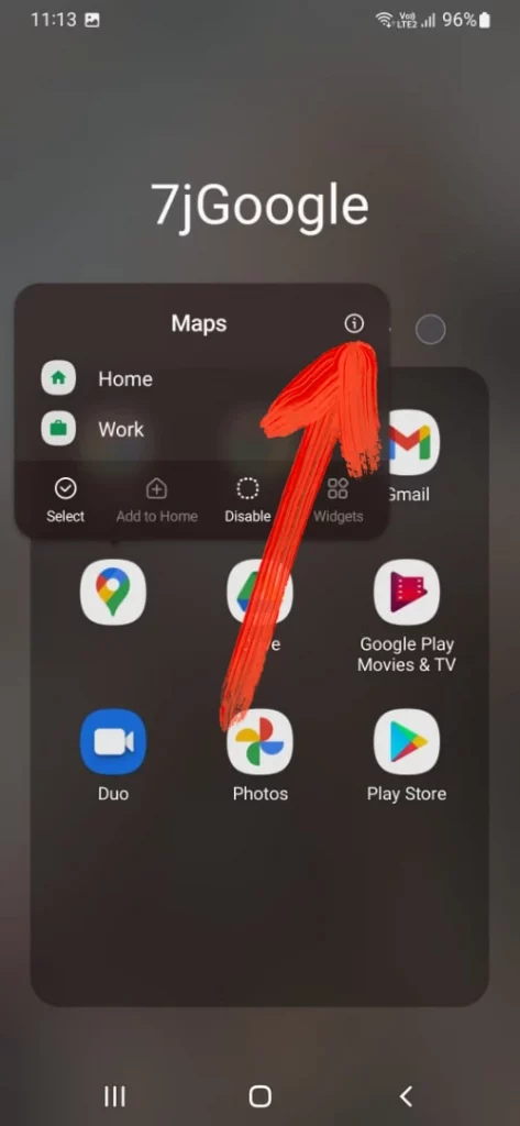 Google Map Info