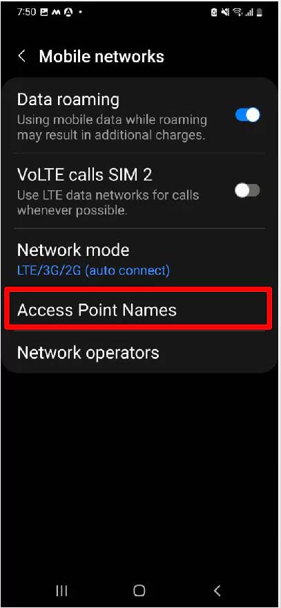access-point-names-capture