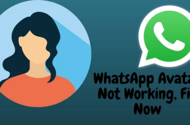 WhatsApp Avatar Not Working on Samsung